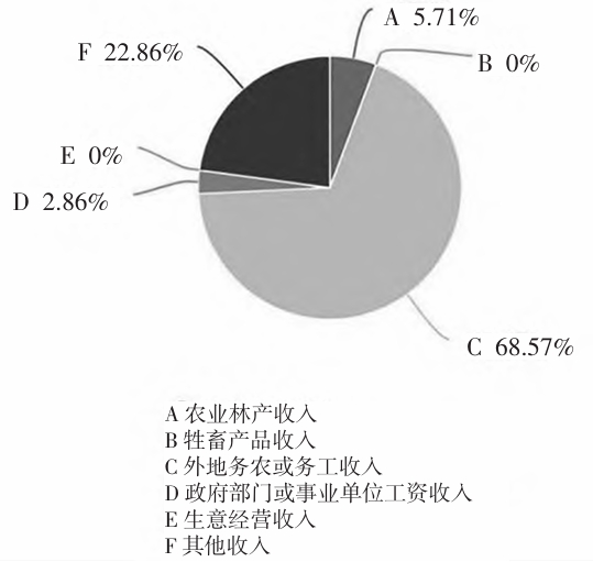 村民收入主要来源方式