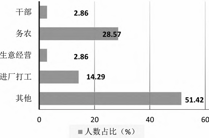 村民从事的主要工作类型