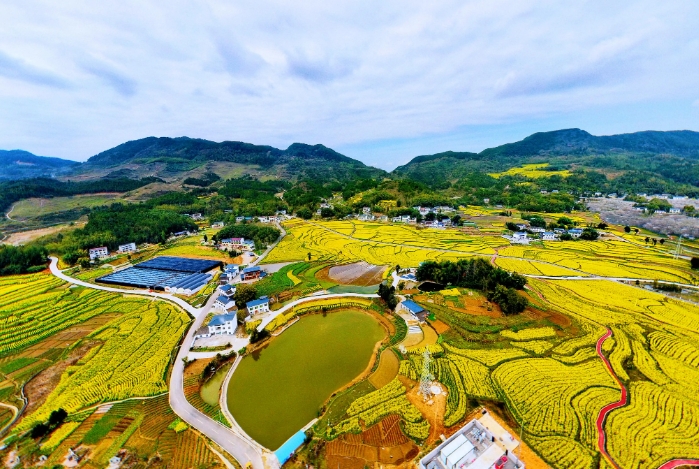 我国农村土地综合整治存在的问题及原因分析