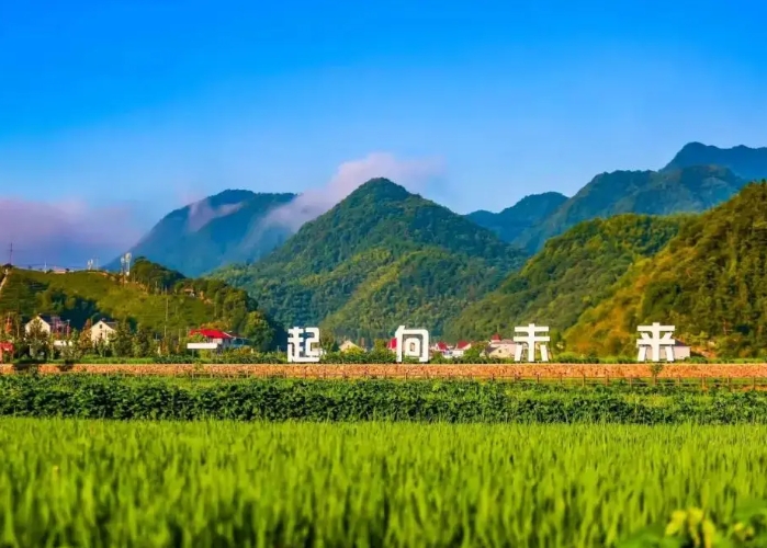 我国西南地区乡村全面振兴的现实困境 我国西南地区乡村全面振兴的现实困境
