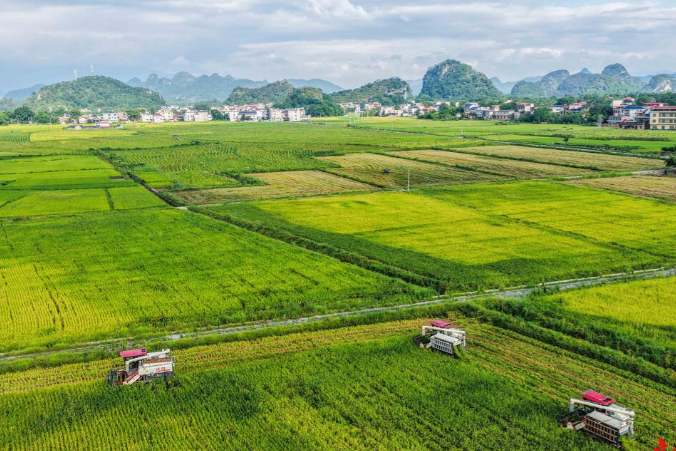 中央高频强调的“良田工程”怎么报？2025高标准农田建设，申报从立项到验收攻略