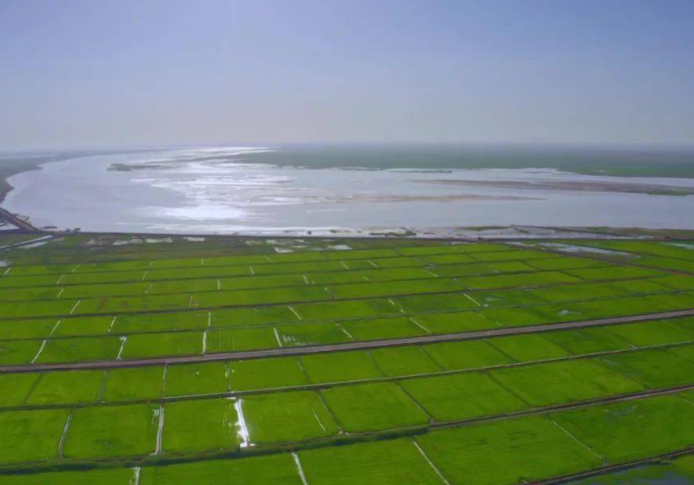 抢先布局：2026年重点流域农业面源污染治理中央投资储备项目申报指南