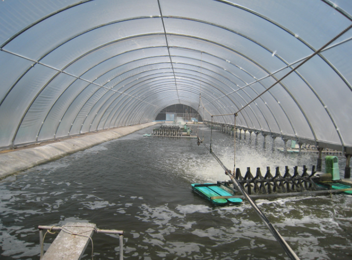 2026年重点流域农业面源污染综合治理水产养殖污染工程项目申报指南