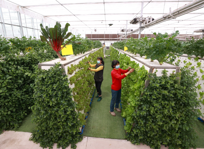 绿色防控投入品中试能力建设项目储备申报中央预算资金指南