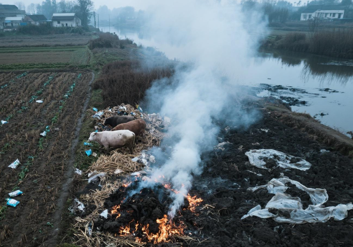 2026年中央预算内重点流域农业面源污染综合治理项目如何申报?