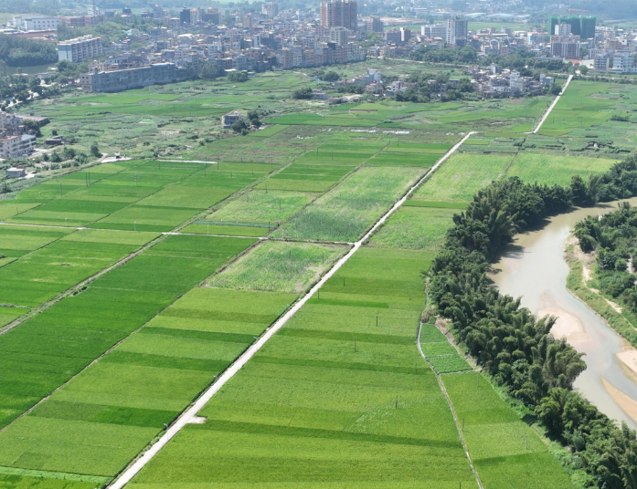 新政下全域土地综合整治的关键问题及解决路径 新政下全域土地综合整治的关键问题及解决路径