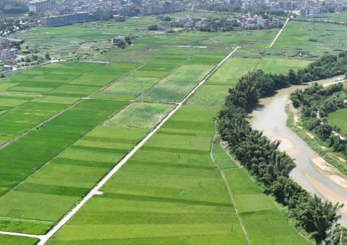 全域土地综合整治与城乡要素流动如何协同