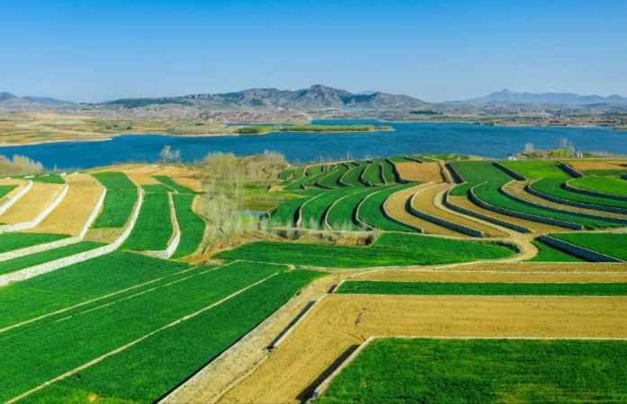 山东省全域土地综合整治的发展历程、现实挑战与系统优化路径