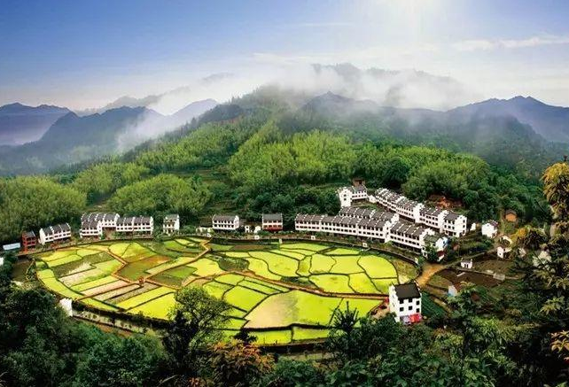 肇庆市“现代农业产业园+乡村旅游”发展方案