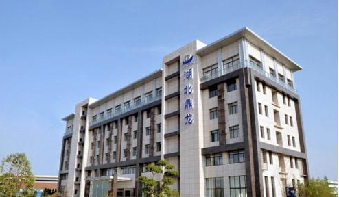 湖北鼎龙股份