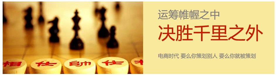 新密市岳村镇电商运营规划