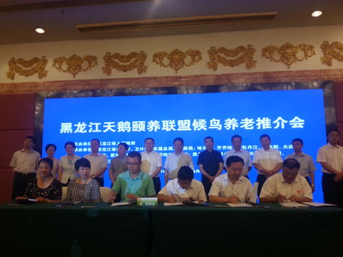 黑龙江推进候鸟养老产业发展的情况解读