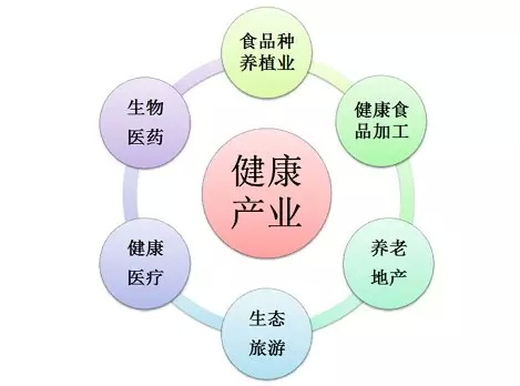 武陵山（怀化）健康产业博览会是市政府打造'健康之城'的重要手段