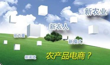农业电商服务新模式——有种网