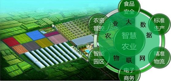 建立农业大数据智能分析及管理服务平台的重要性越来越凸显