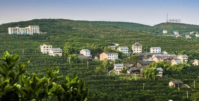 重庆市忠县三峡橘乡田园综合体
