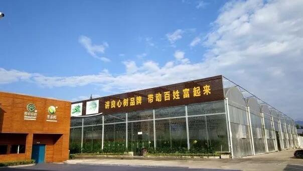 四川省都江堰市田园综合体三年计划总投资210285万元