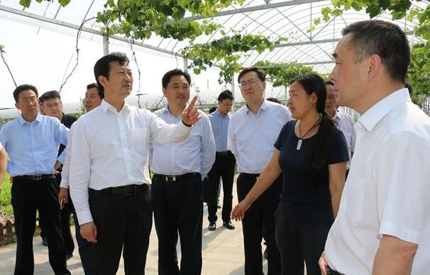 迈向田园综合体的产业模式——大通农场