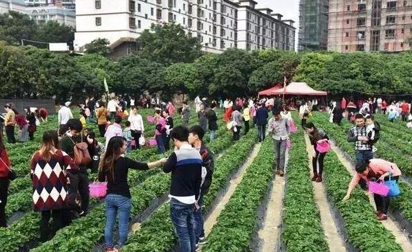 做休闲农业如何找到合适的位置？