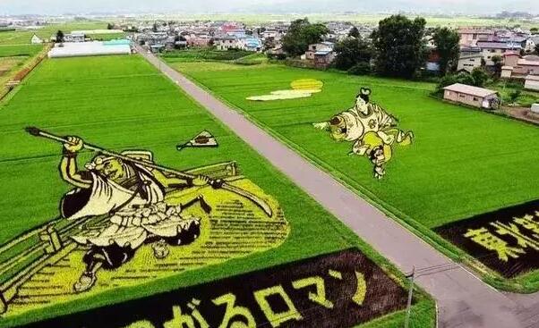看看世界生态农业典范怎么做！