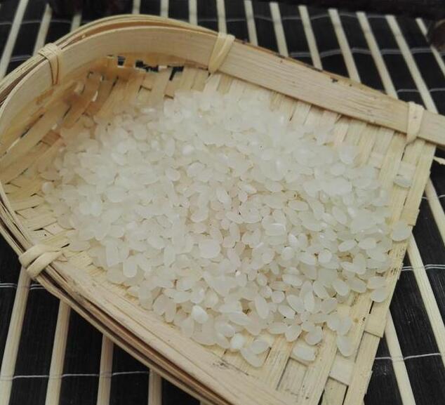 有机农业