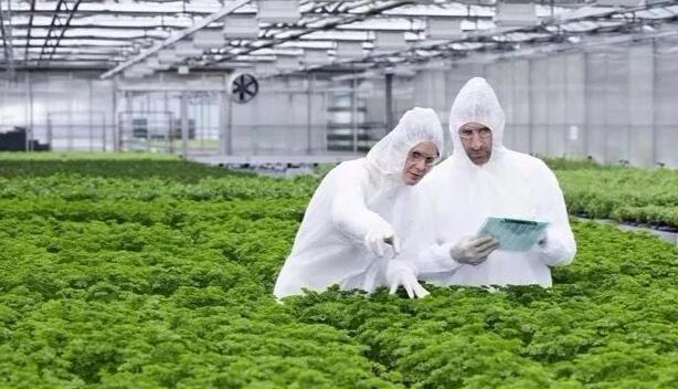  2018年农业综合开发的扶持方式有哪些？申报条件有哪些？