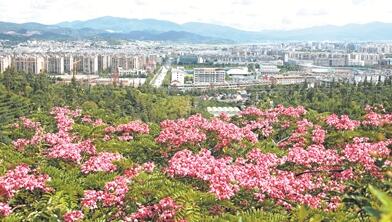 在长江经济带建设中，普洱要扮演怎样的角色？
