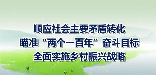怎样以都市圈为地域依托实施乡村振兴战略？