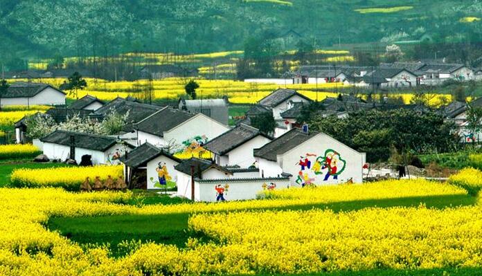 乡村旅游发展与乡村振兴战略的“无缝对接”