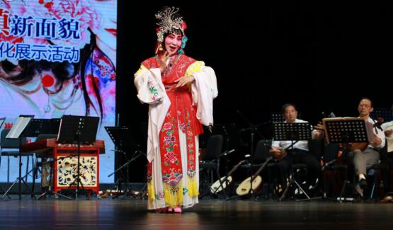 崔黄口镇充分利用“互联网+”的发展模式，着力打造电商小镇