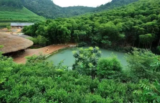 乡村振兴：休闲农业项目拿地要点及方案