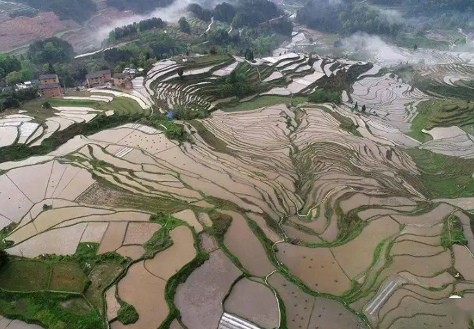酉阳县乡村产业发展问题