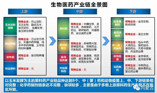 内蒙古自冶区生物医药产业链全景图 内蒙古自冶区生物医药产业链全景图