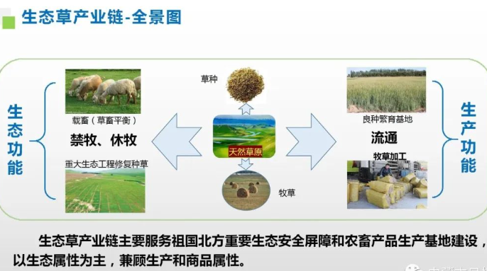 内蒙古自冶区生态草产业链全景图 内蒙古自冶区生态草产业链全景图