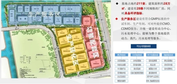 张江创新药产业基地功能布局
