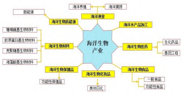 广东省海洋生物产业发展现状及存在问题分析