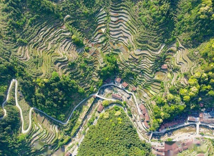 EOD模式下百山祖国家公园既有建筑更新研究