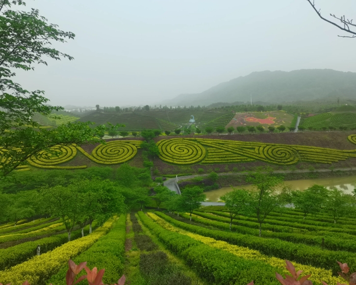 乡村振兴背景下茶乡旅游产业发展路径探析